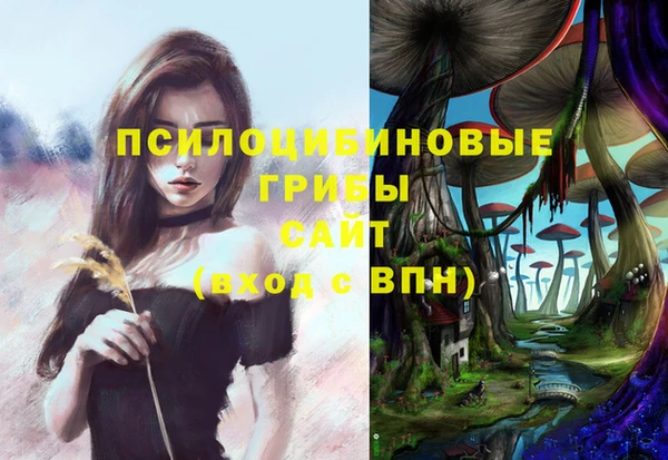 бутират Вязьма